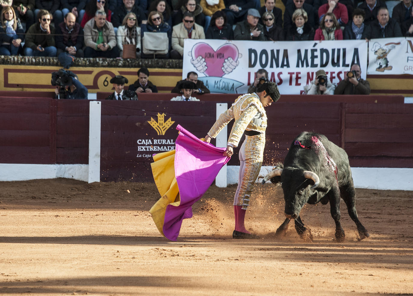 Fotos: Novillada, primera de abono de la Feria de Olivenza