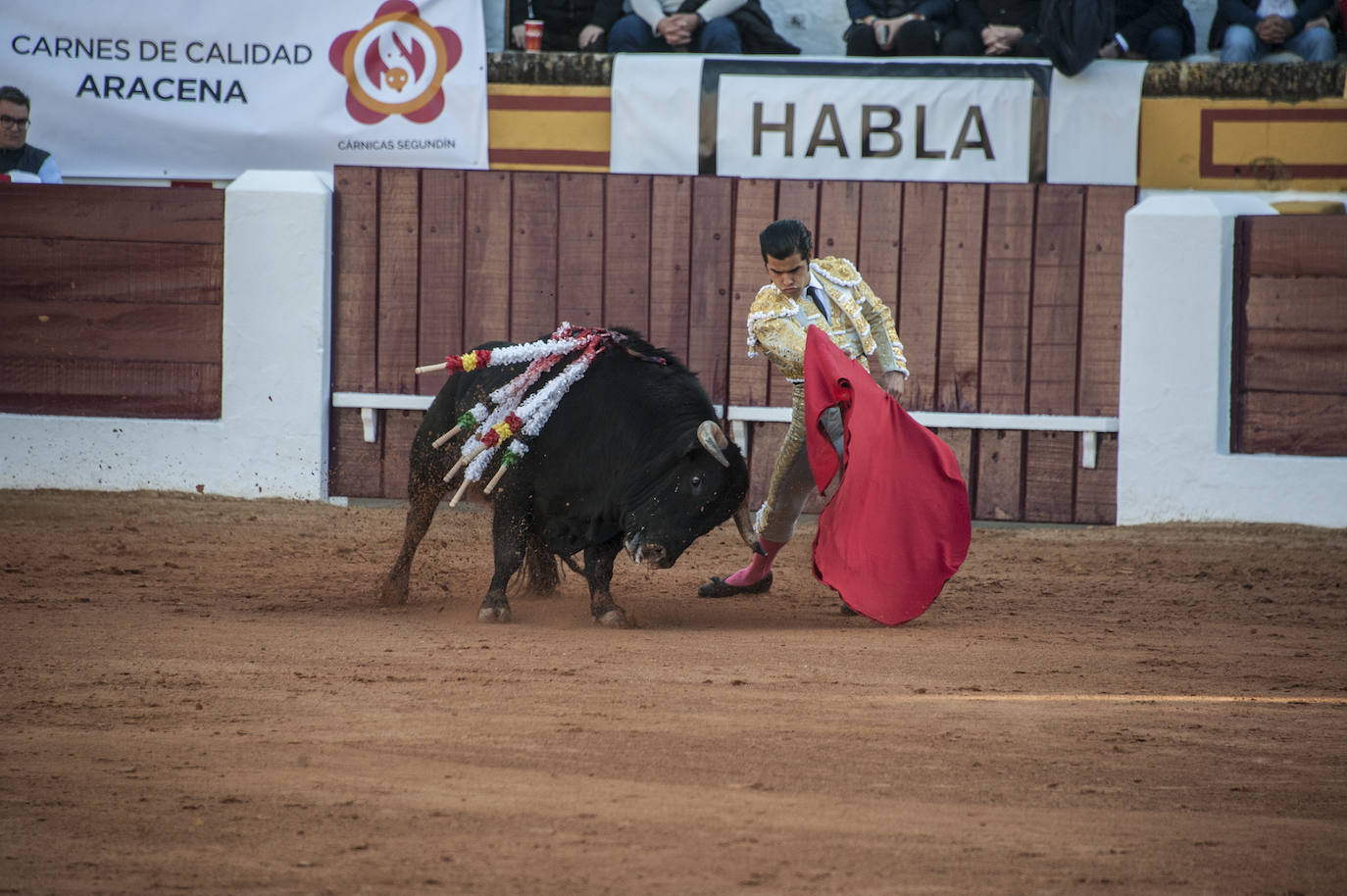 Fotos: Novillada, primera de abono de la Feria de Olivenza