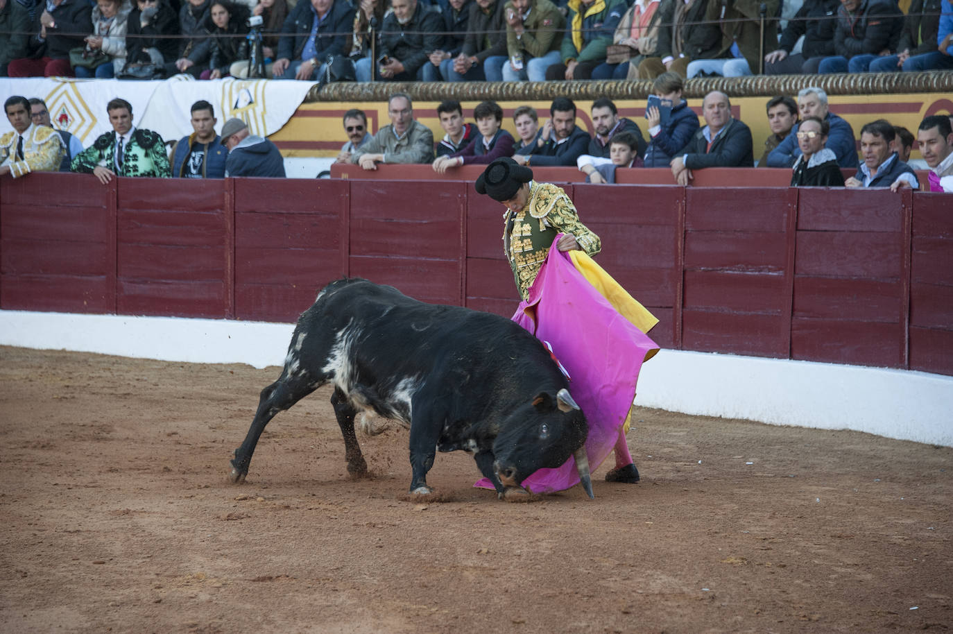 Fotos: Novillada, primera de abono de la Feria de Olivenza