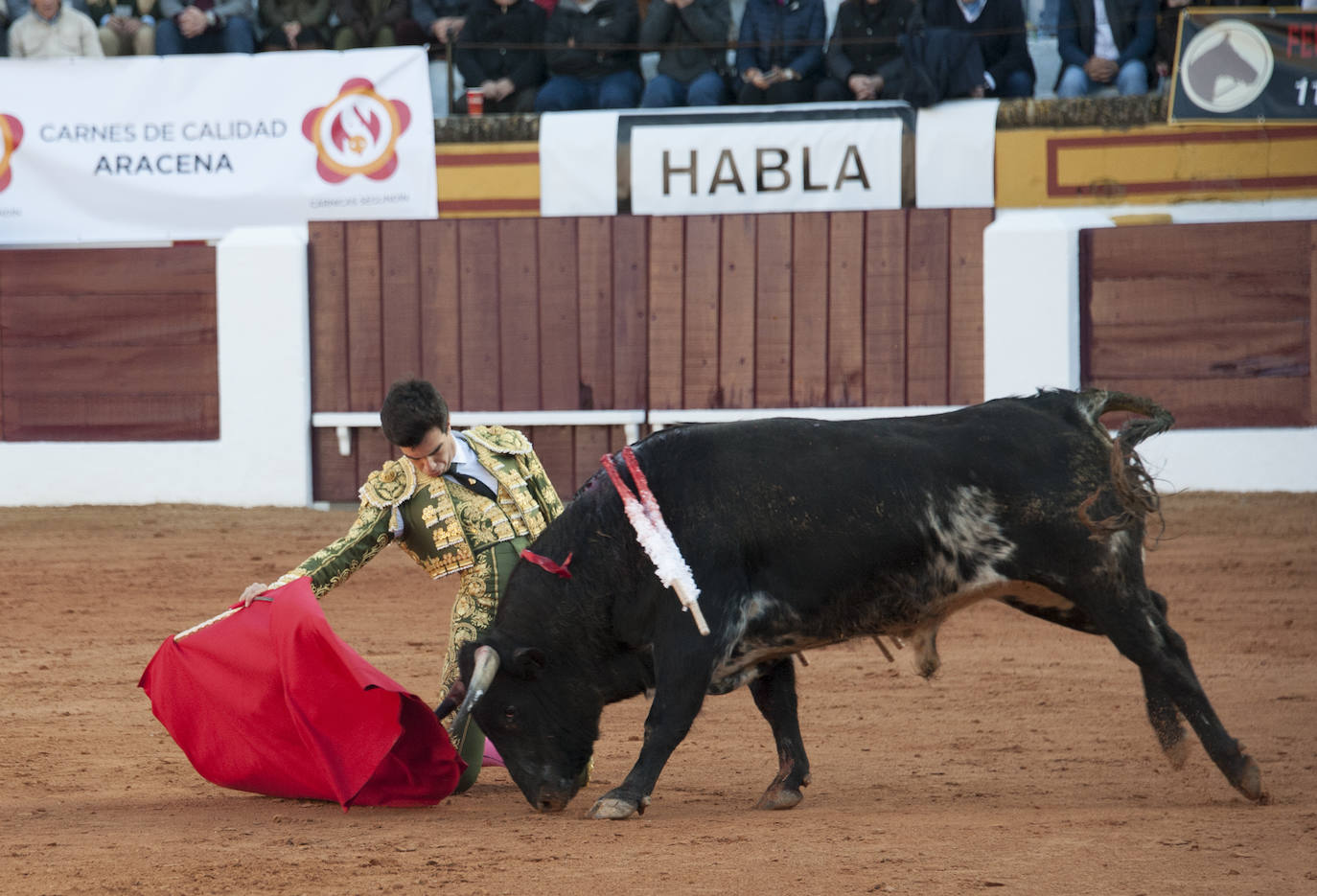 Fotos: Novillada, primera de abono de la Feria de Olivenza