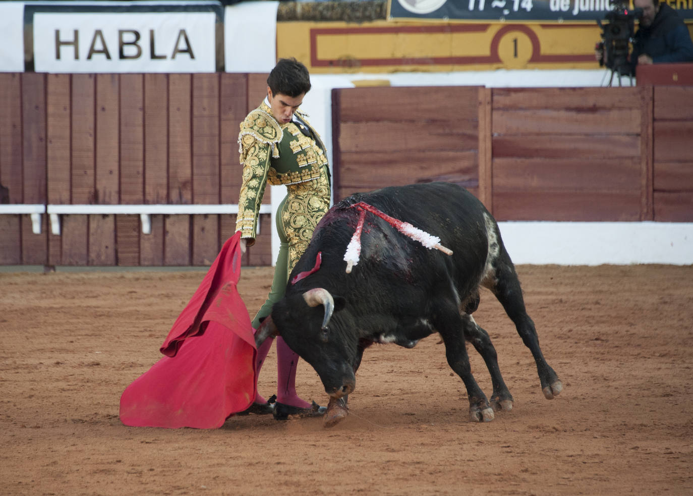 Fotos: Novillada, primera de abono de la Feria de Olivenza