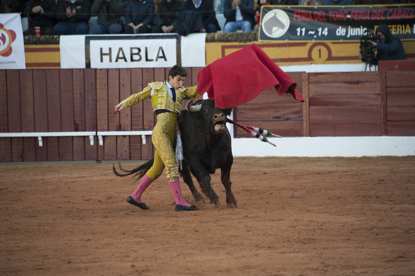 Fotos: Novillada, primera de abono de la Feria de Olivenza