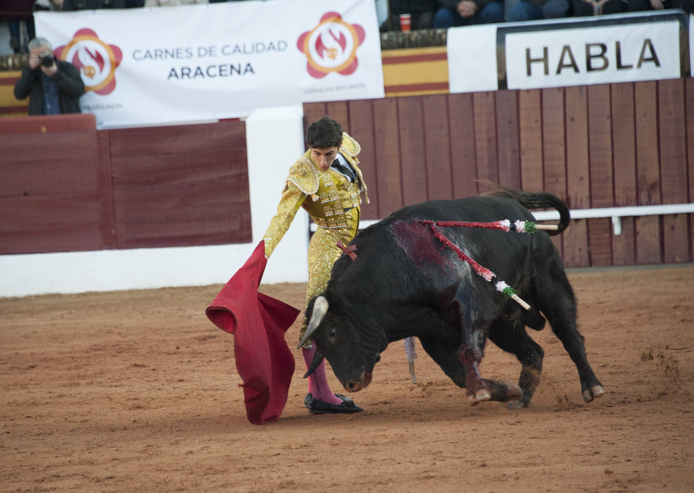 Fotos: Novillada, primera de abono de la Feria de Olivenza