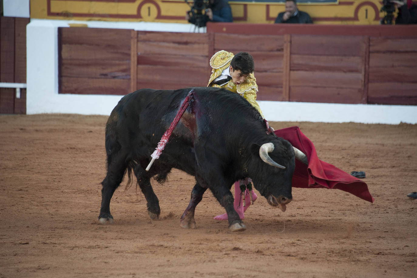 Fotos: Novillada, primera de abono de la Feria de Olivenza