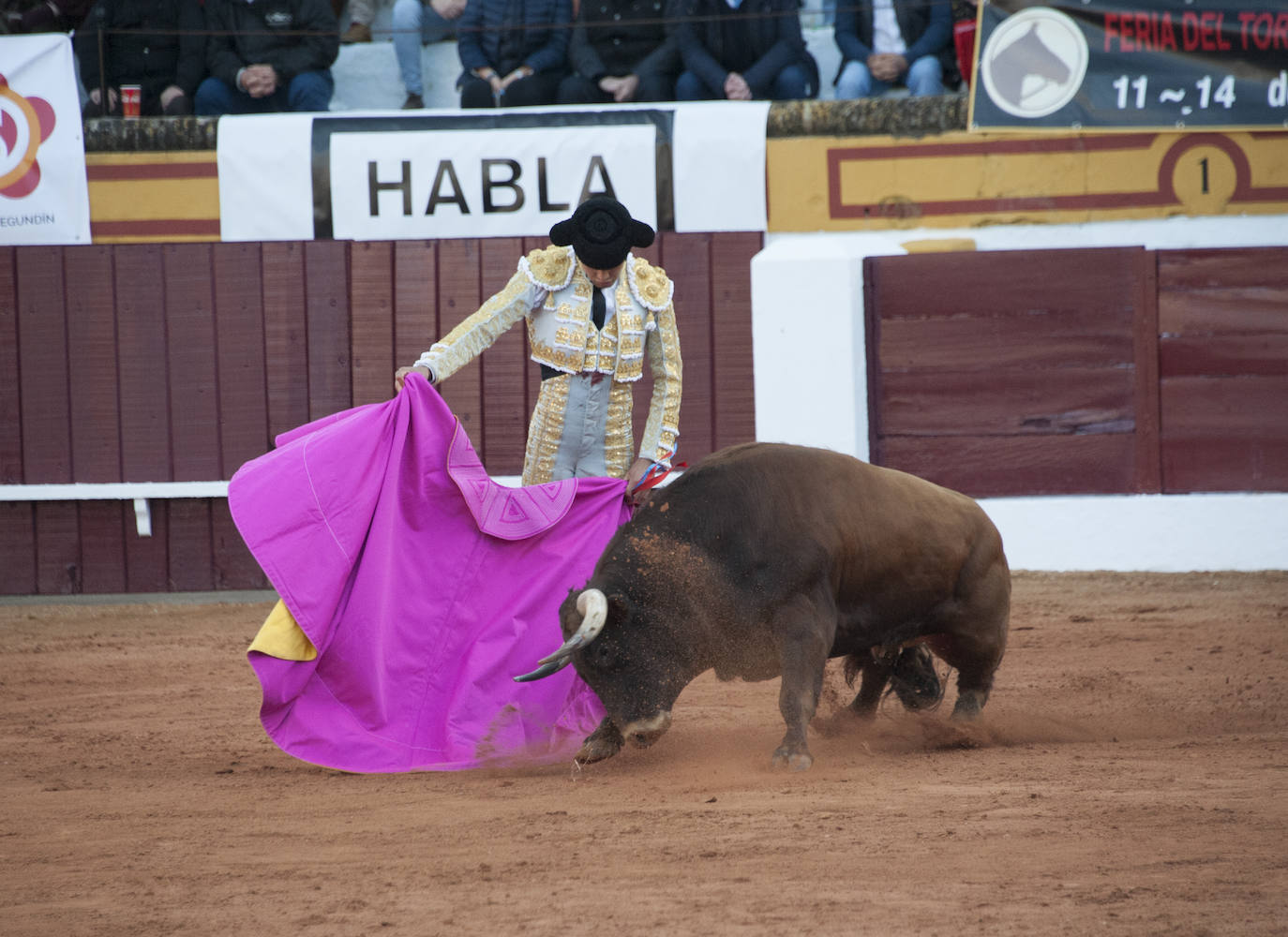 Fotos: Novillada, primera de abono de la Feria de Olivenza