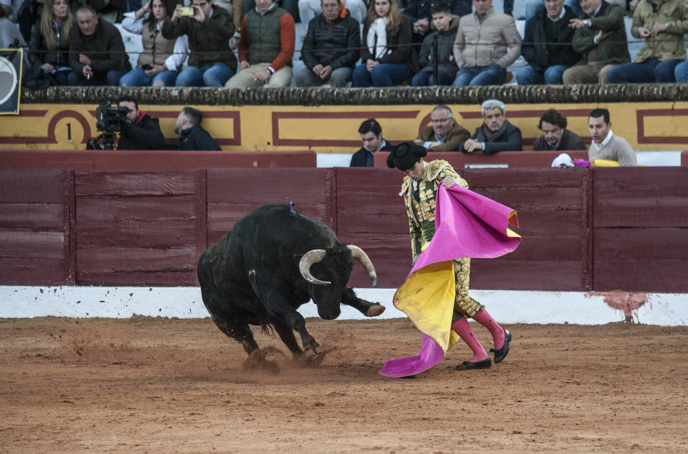 Fotos: Novillada, primera de abono de la Feria de Olivenza