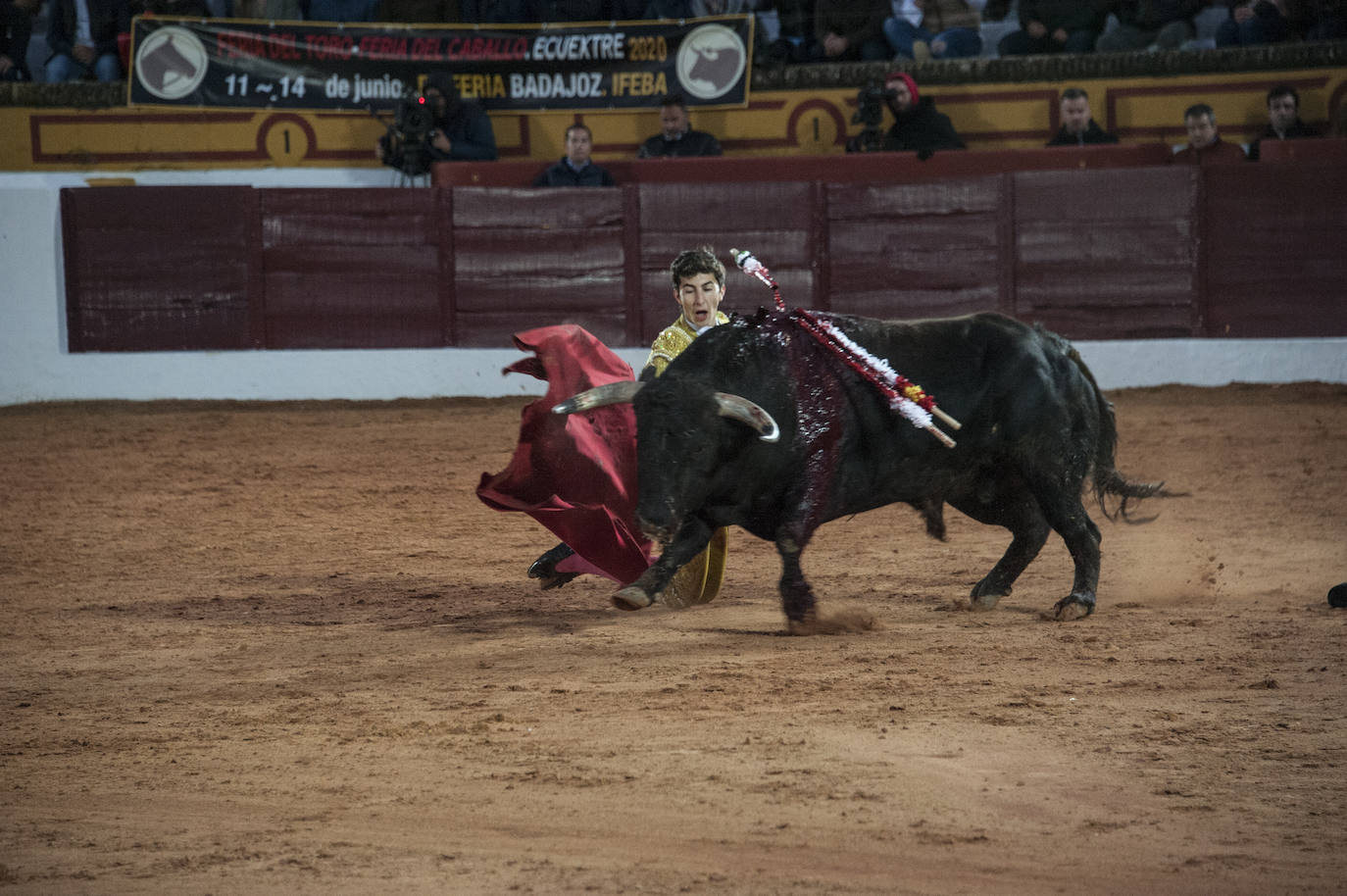 Fotos: Novillada, primera de abono de la Feria de Olivenza