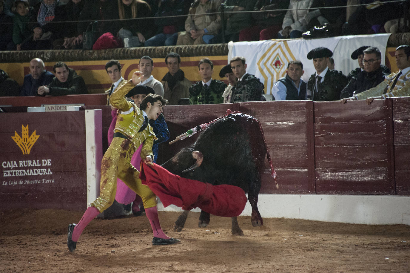 Fotos: Novillada, primera de abono de la Feria de Olivenza