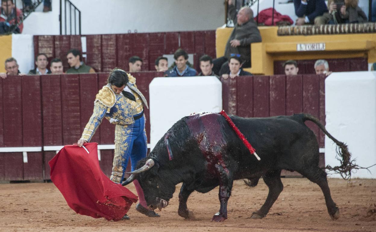 Morante de la Puebla tratando de hacerle faena al cuarto de la tarde junto a la puerta de toriles. 