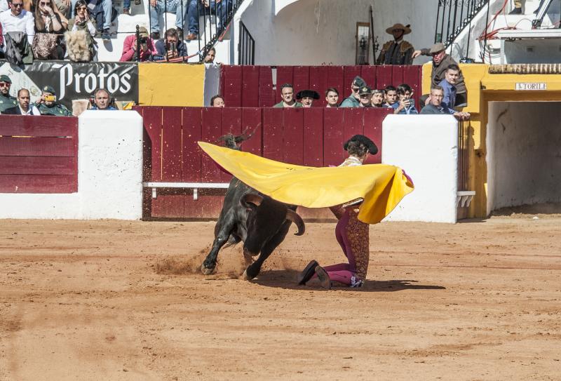 Alarde de torería y valor de Emilio de Justo y Ginés Marín para abrir la puerta grande. 