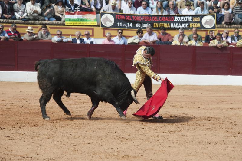 Alarde de torería y valor de Emilio de Justo y Ginés Marín para abrir la puerta grande. 