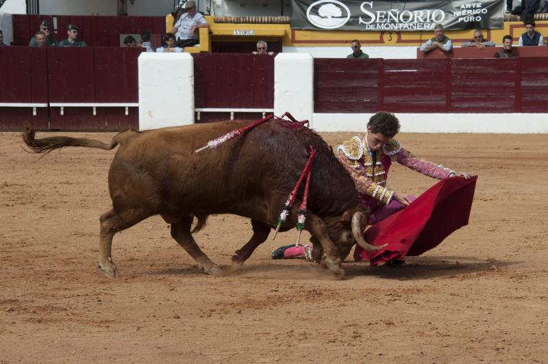 Alarde de torería y valor de Emilio de Justo y Ginés Marín para abrir la puerta grande. 