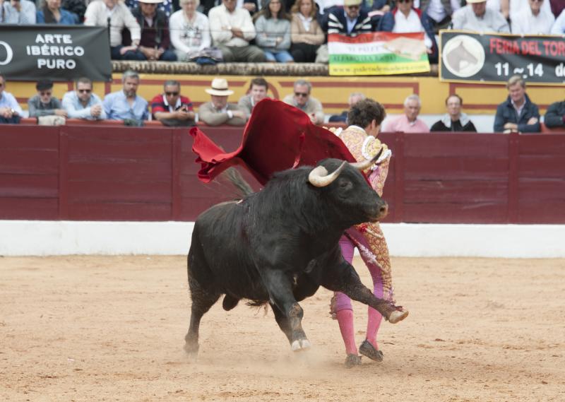 Alarde de torería y valor de Emilio de Justo y Ginés Marín para abrir la puerta grande. 