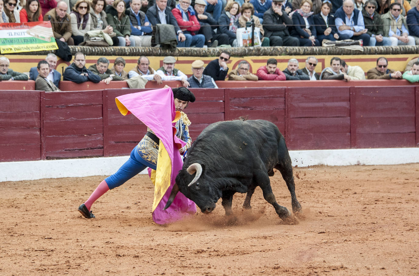 Fotos: Morante, Manzanares y Aguado, en el cuarto festejo de la feria de Olivenza