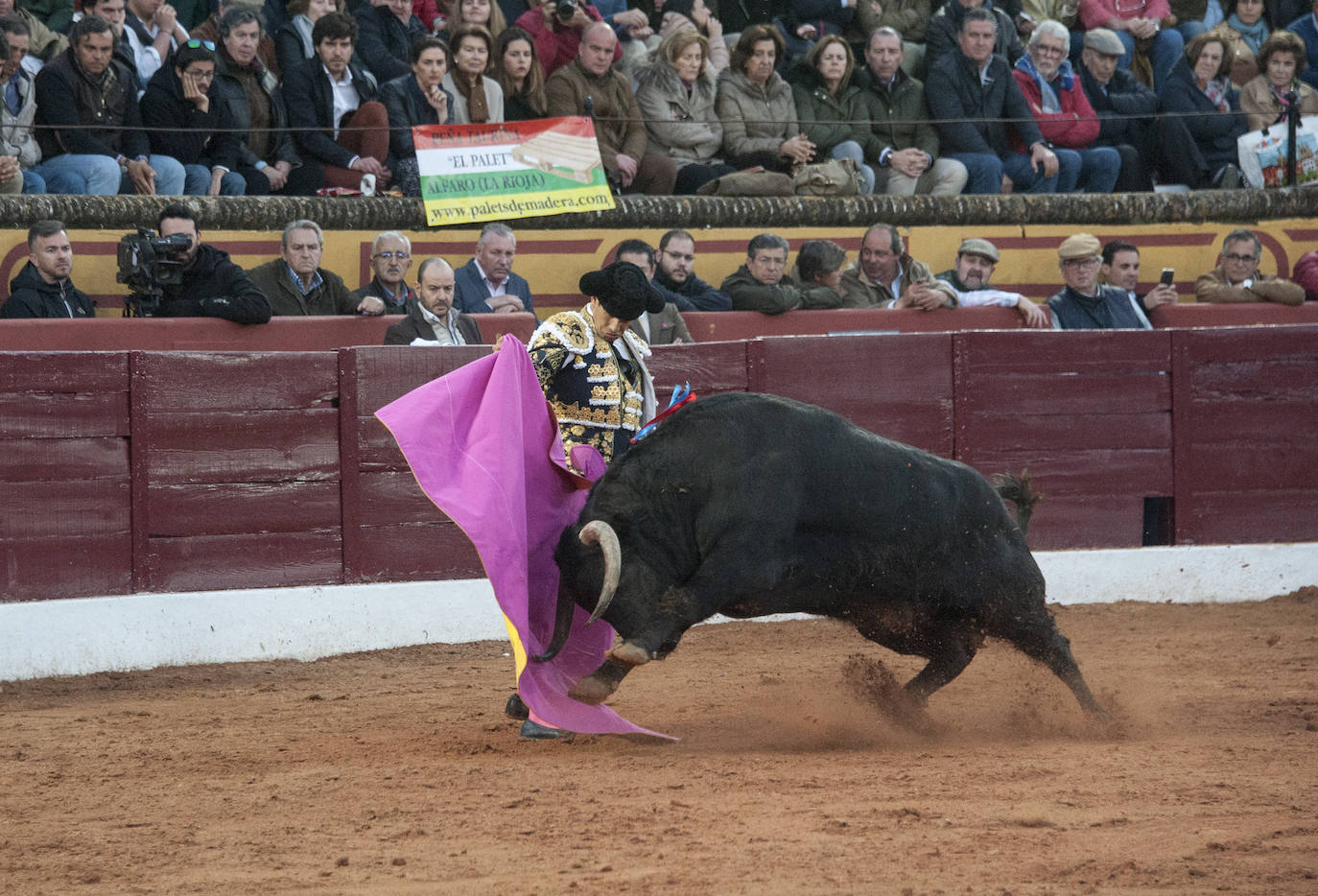 Fotos: Morante, Manzanares y Aguado, en el cuarto festejo de la feria de Olivenza