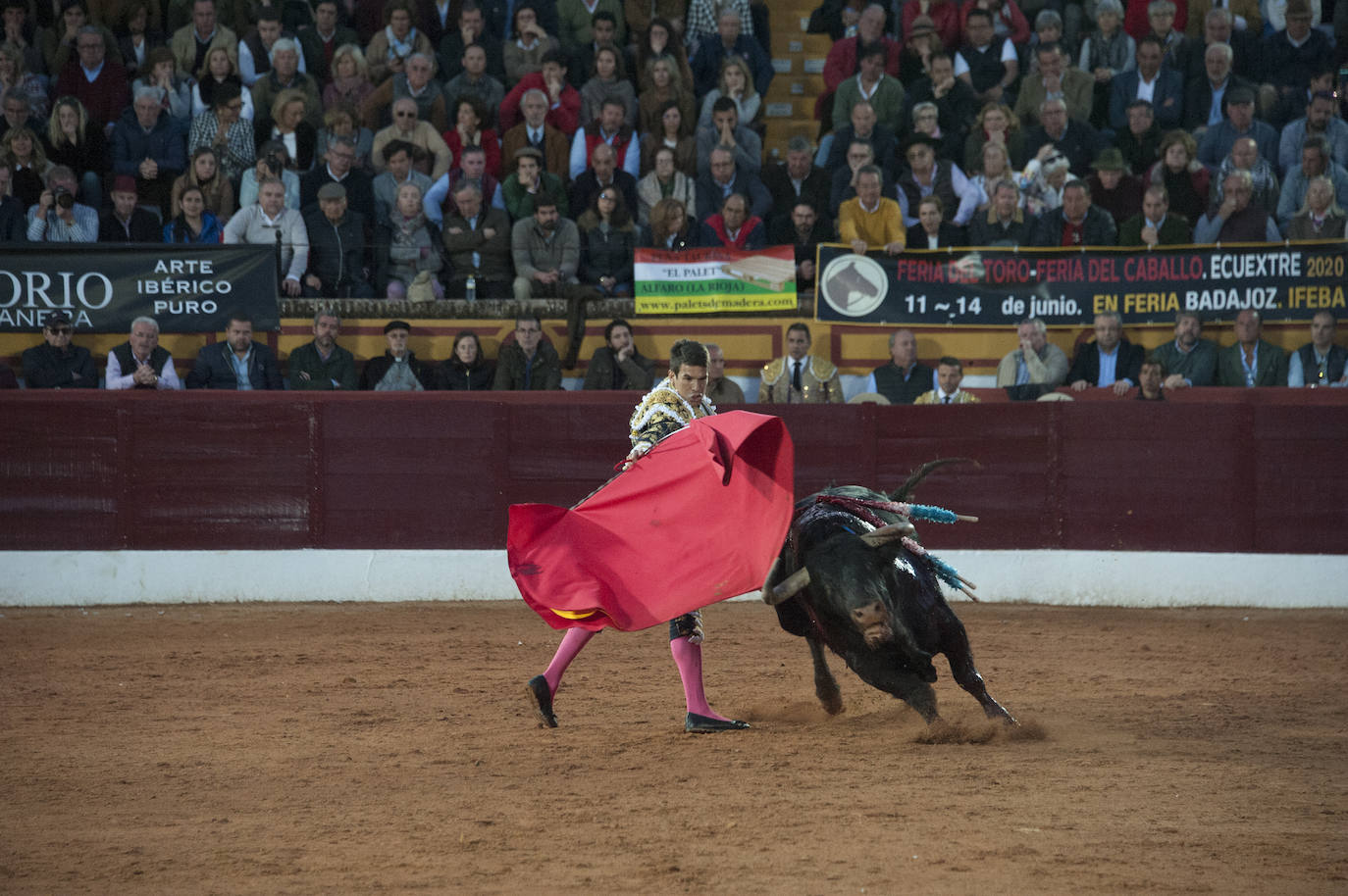 Fotos: Morante, Manzanares y Aguado, en el cuarto festejo de la feria de Olivenza