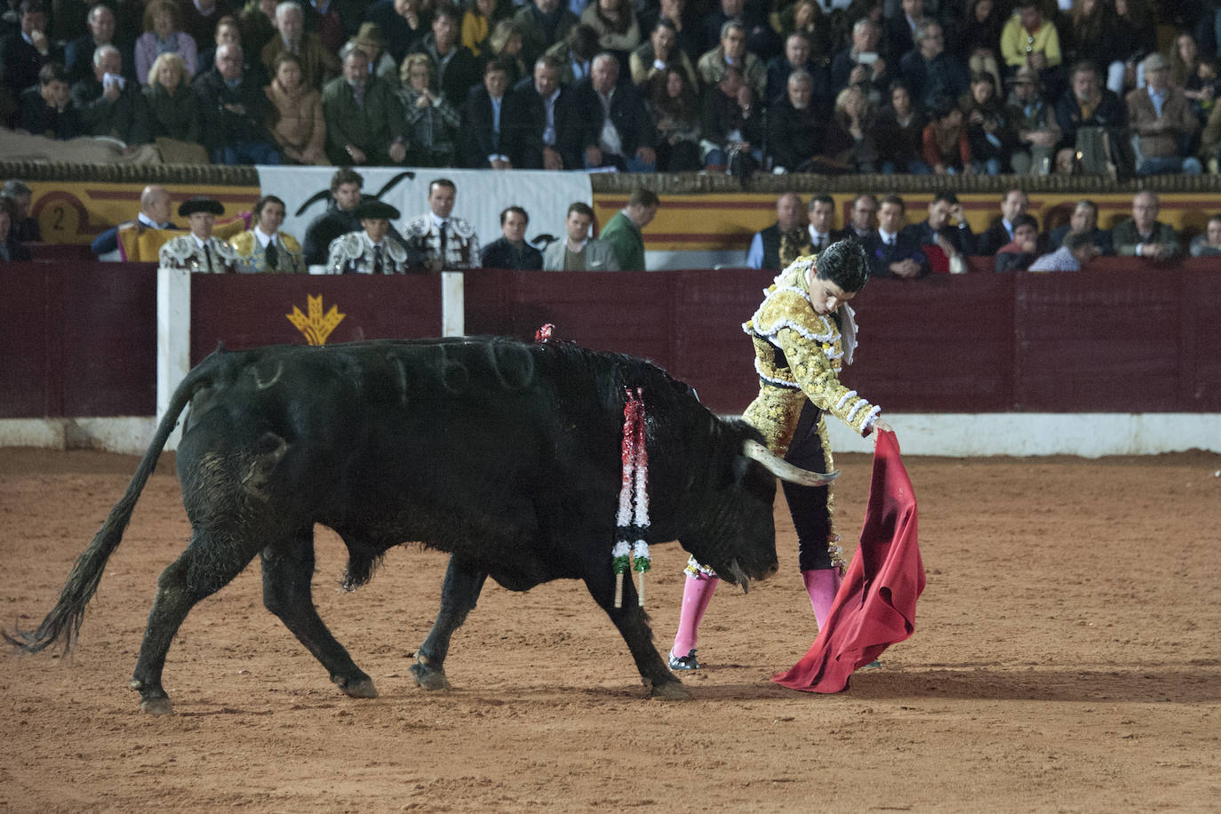 Fotos: Morante, Manzanares y Aguado, en el cuarto festejo de la feria de Olivenza