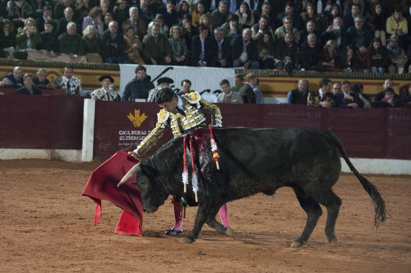 Fotos: Morante, Manzanares y Aguado, en el cuarto festejo de la feria de Olivenza