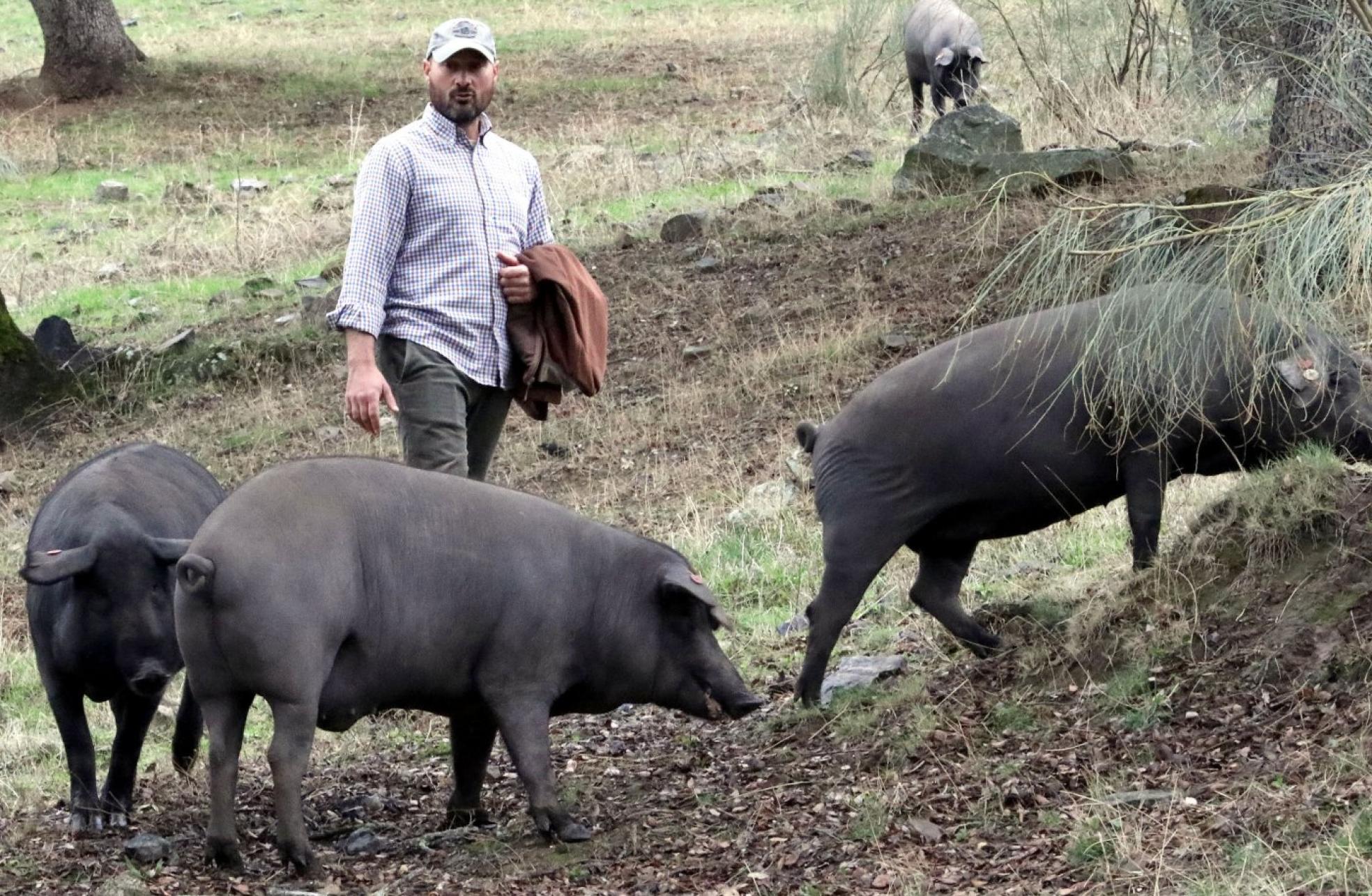 «El campo no puede parar porque la gente tiene que comer»
