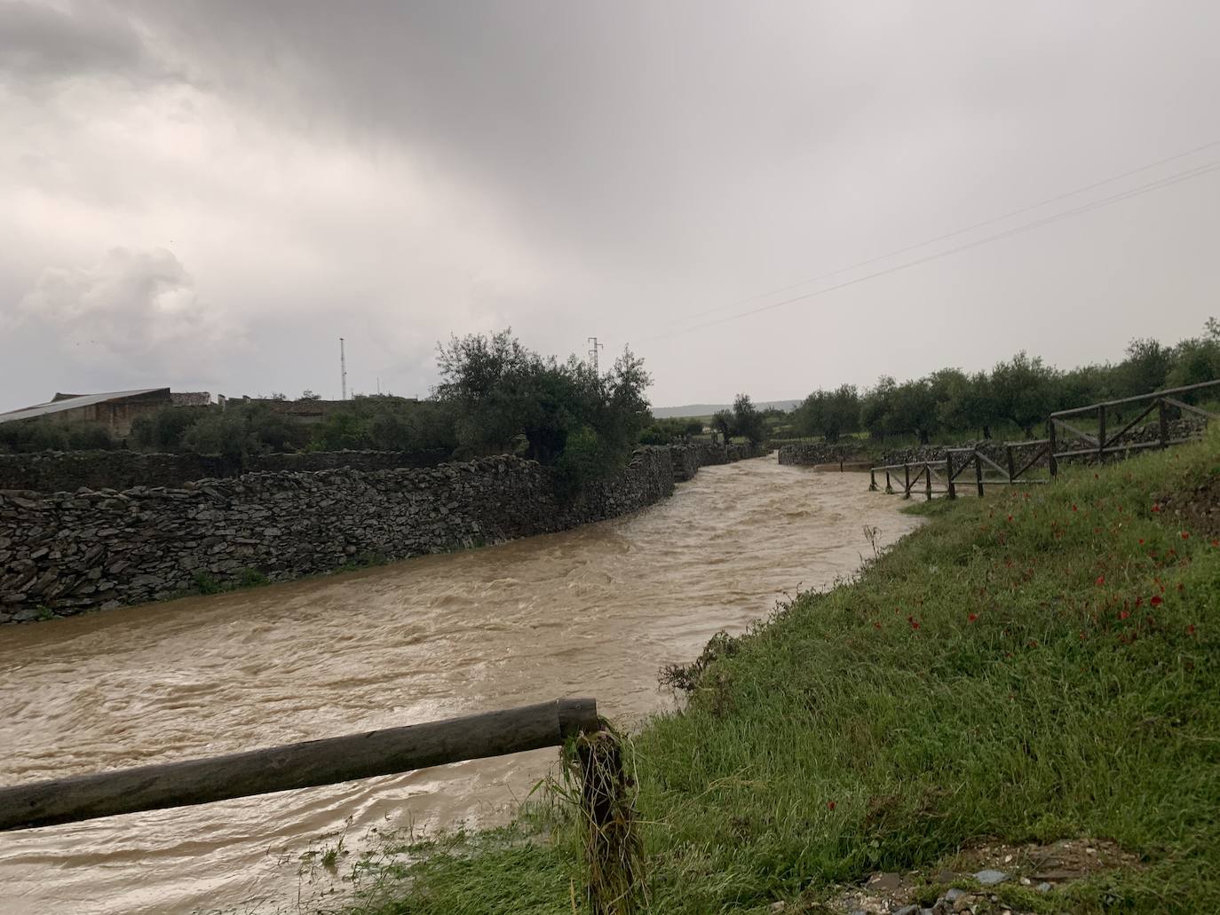 Fotos: Daños provocados por las tormentas en Salorino
