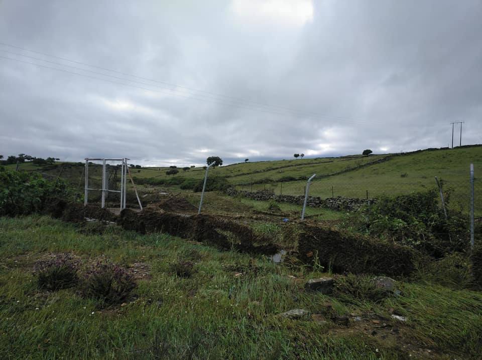 Fotos: Daños provocados por las tormentas en Salorino