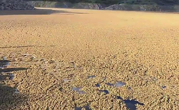 Estado del Tajo a su paso por Garrovillas de Alconétar.