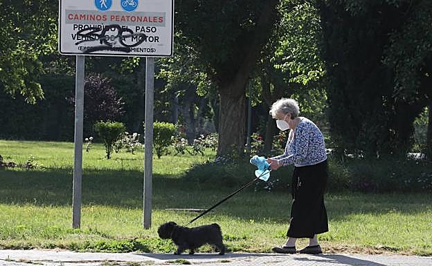 Una mujer mayor sale de paseo con su perro. 
