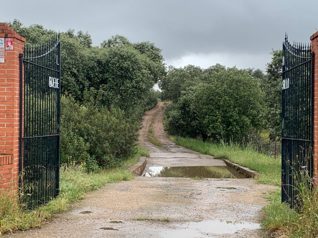 Acceso a la finca La Dehesilla, en el término municipal de Feria, donde se produjo el suceso. 