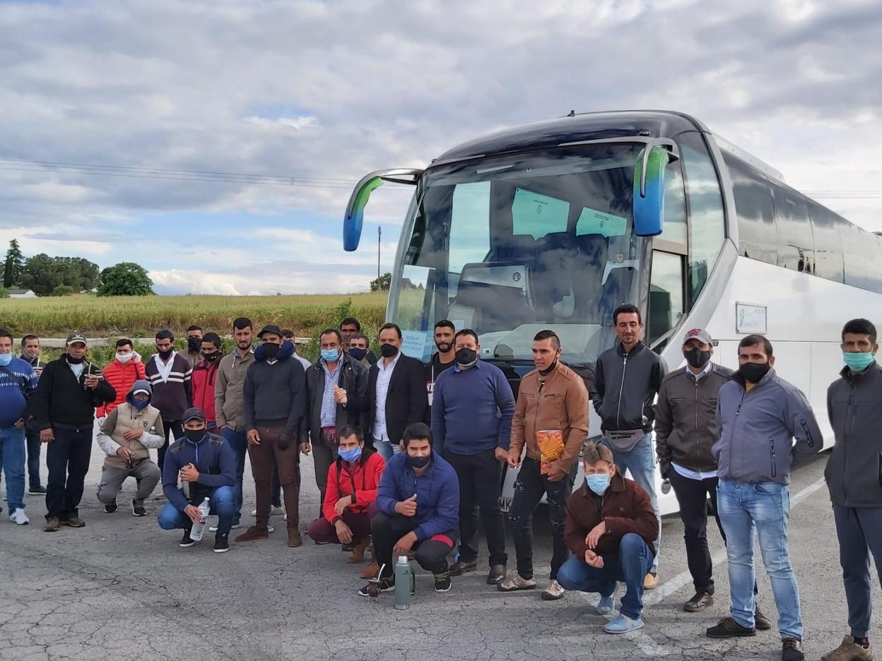 Esquilador, un oficio en peligro de extinción