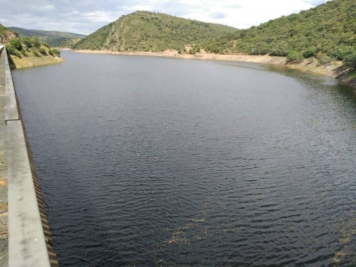La azolla desaparece de las aguas del Tajo a su paso por Monfragüe. 