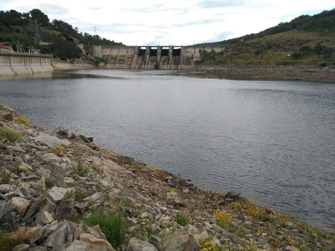 La azolla desaparece de las aguas del Tajo a su paso por Monfragüe. 