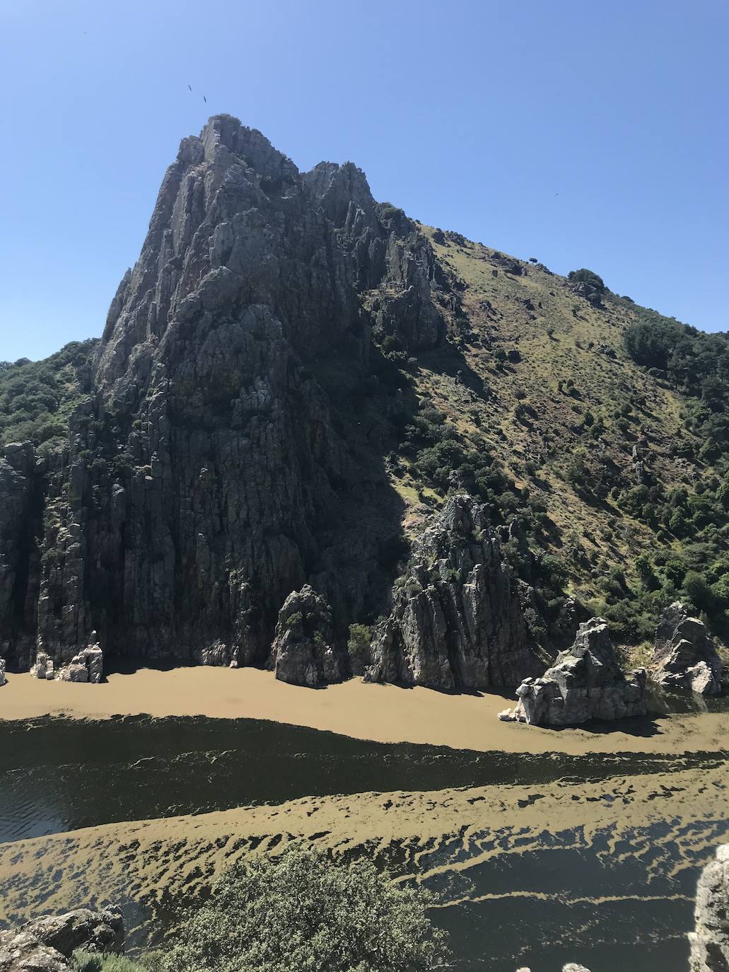 Fotos: El helecho de agua remite en Monfragüe