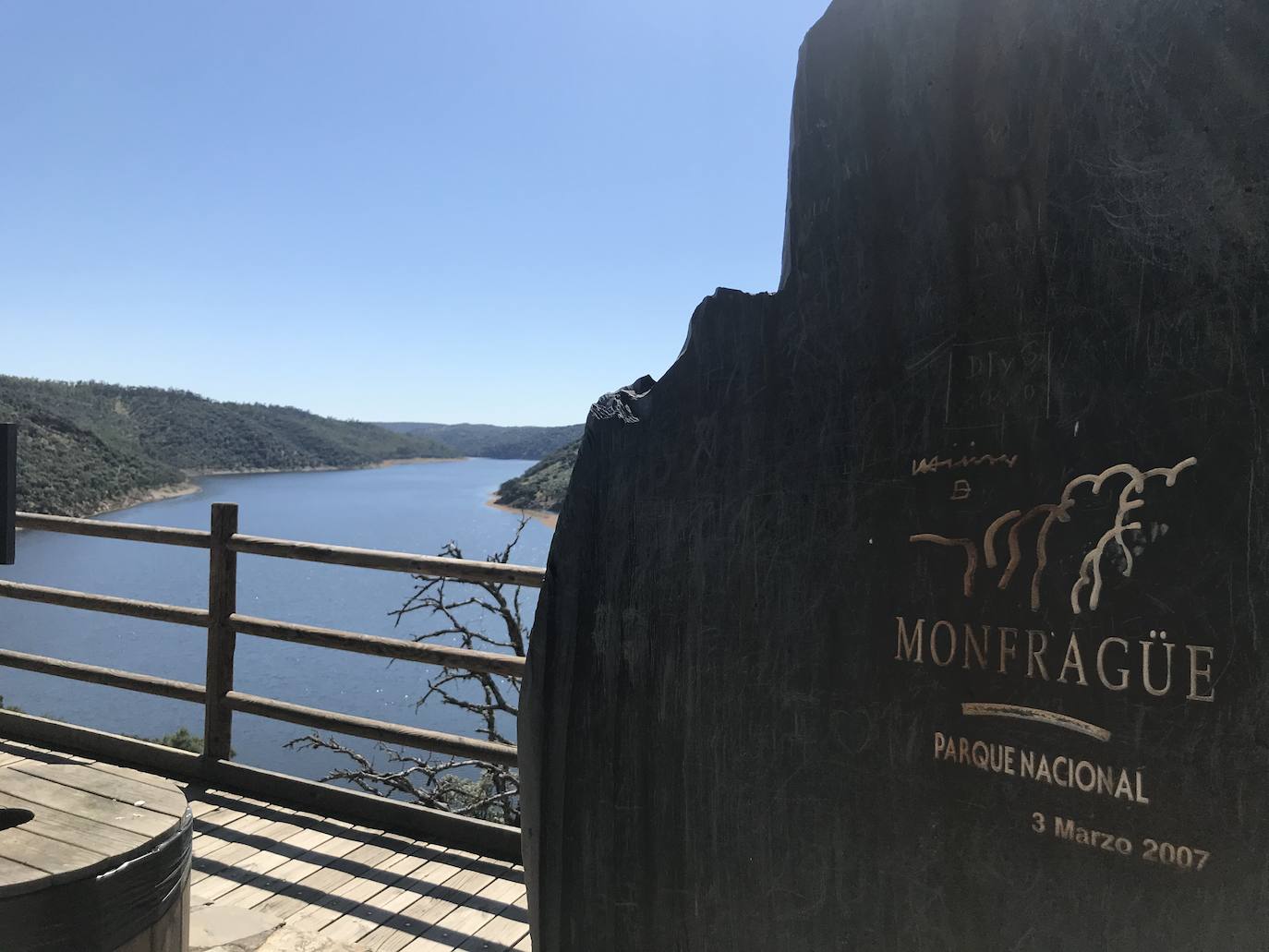 Fotos: El helecho de agua remite en Monfragüe