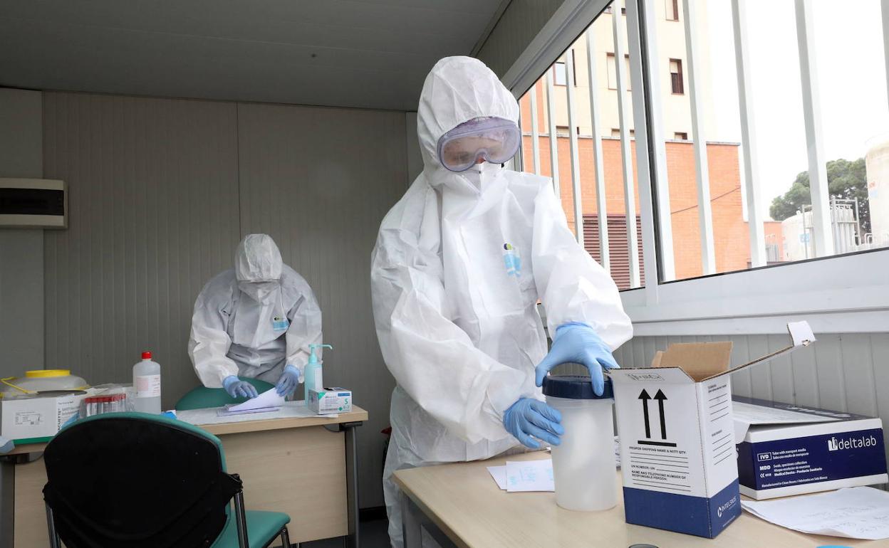 Dos sanitarios recogen muestras para realizar los test rápidos de coronavirus en Mérida. 