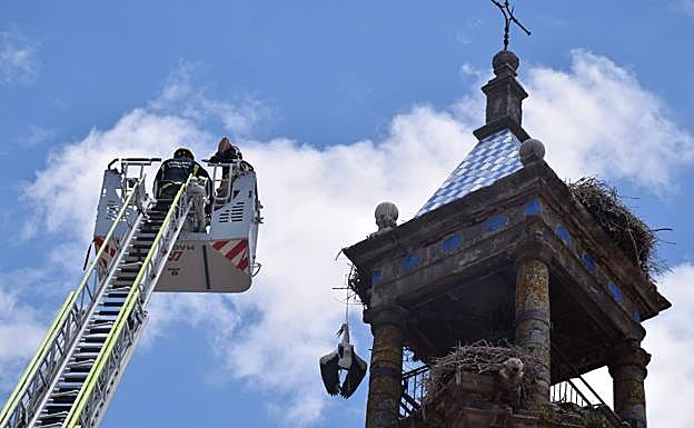 Intervención de los bomberos para rescatar a la cigüeña.