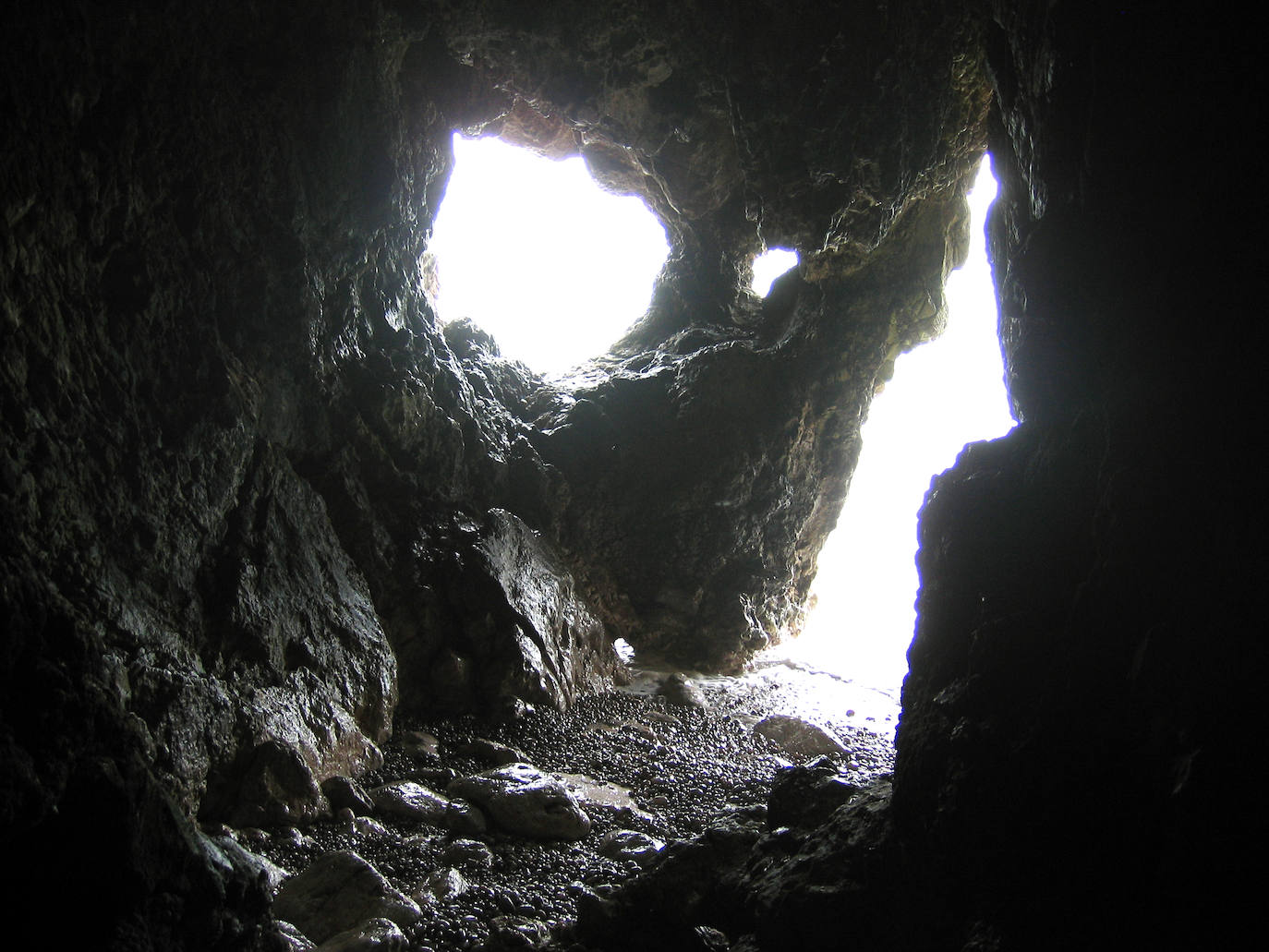 El estudio ha sido hecho a partir de restos de la cueva del Gigante, en Sitges.