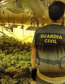 Imagen secundaria 2 - Imágenes de la operación de la Guardia Civil