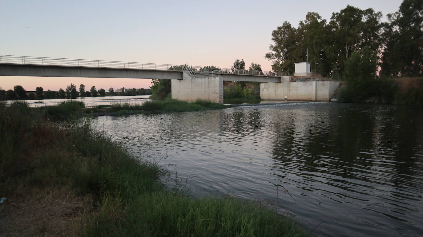 Fotos: Un remanso del Guadiana cortado en dos