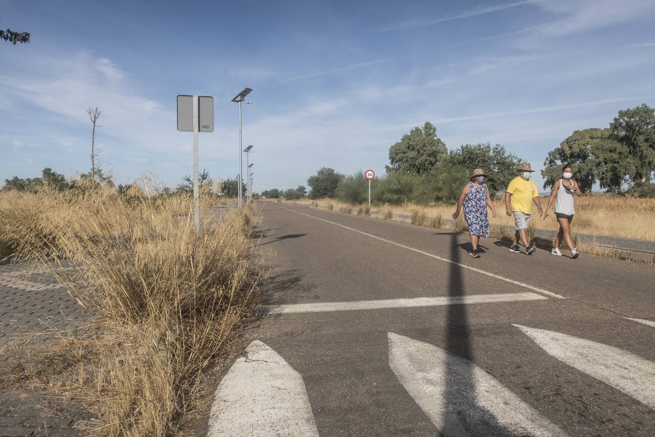 La maleza no permite a los peatones caminar por las aceras