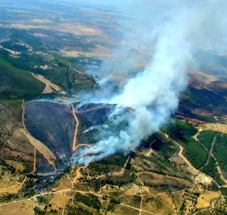 Fotos: Imágenes del incendio forestal registrado en Cañaveral