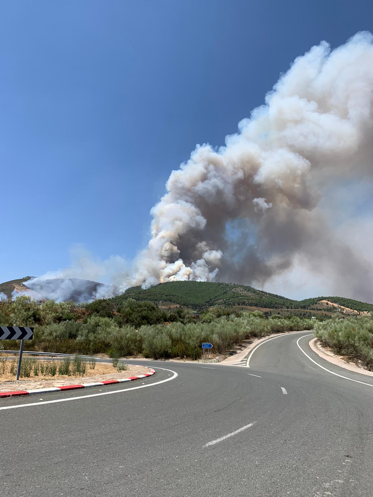 Fotos: Imágenes del incendio forestal registrado en Cañaveral