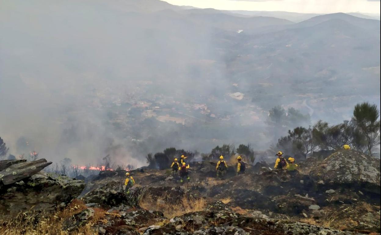 El fuego afecta a matorral y mata de encina.