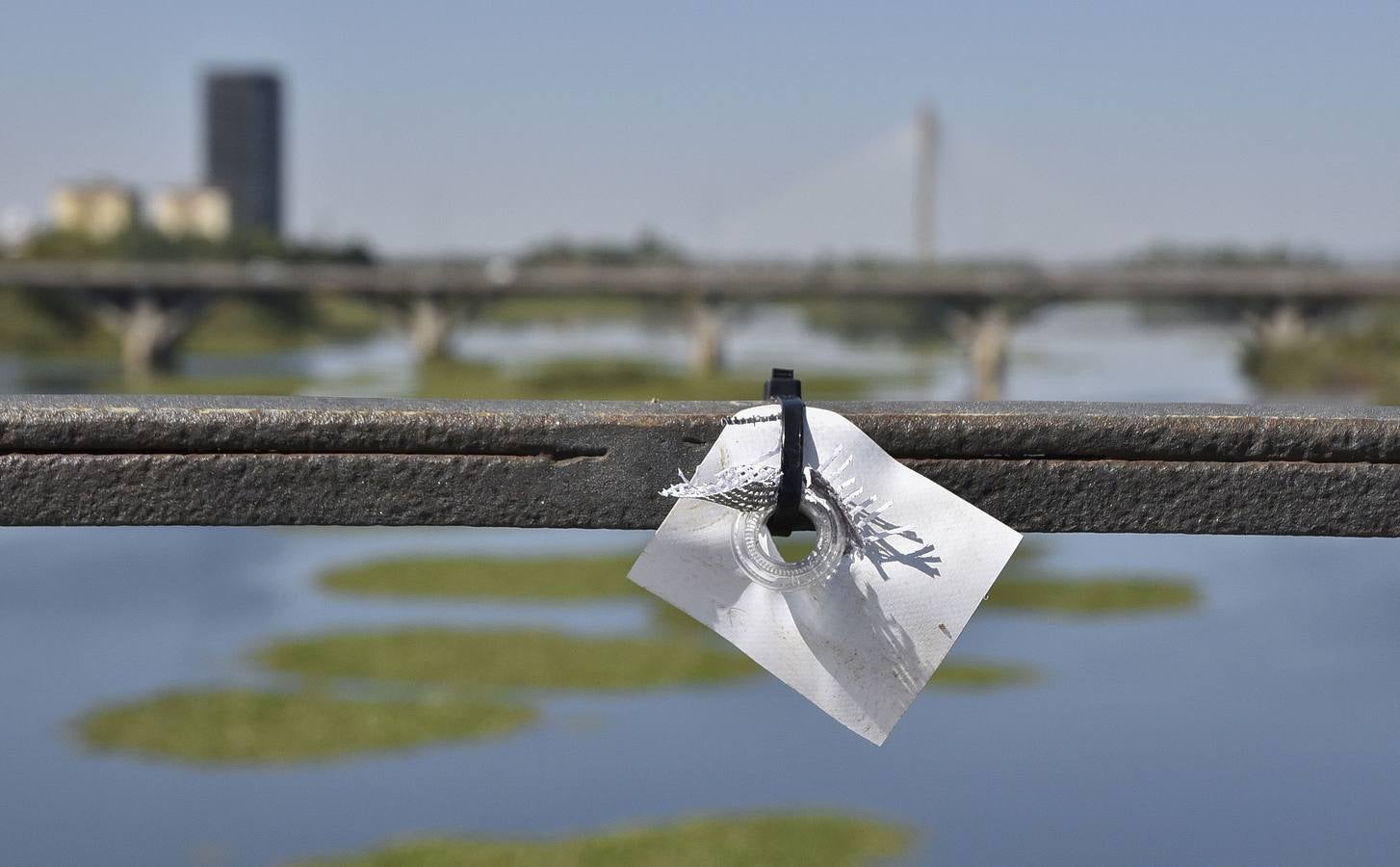 Mal estado de la exposición de PHotoEspaña en el Puente de Palmas