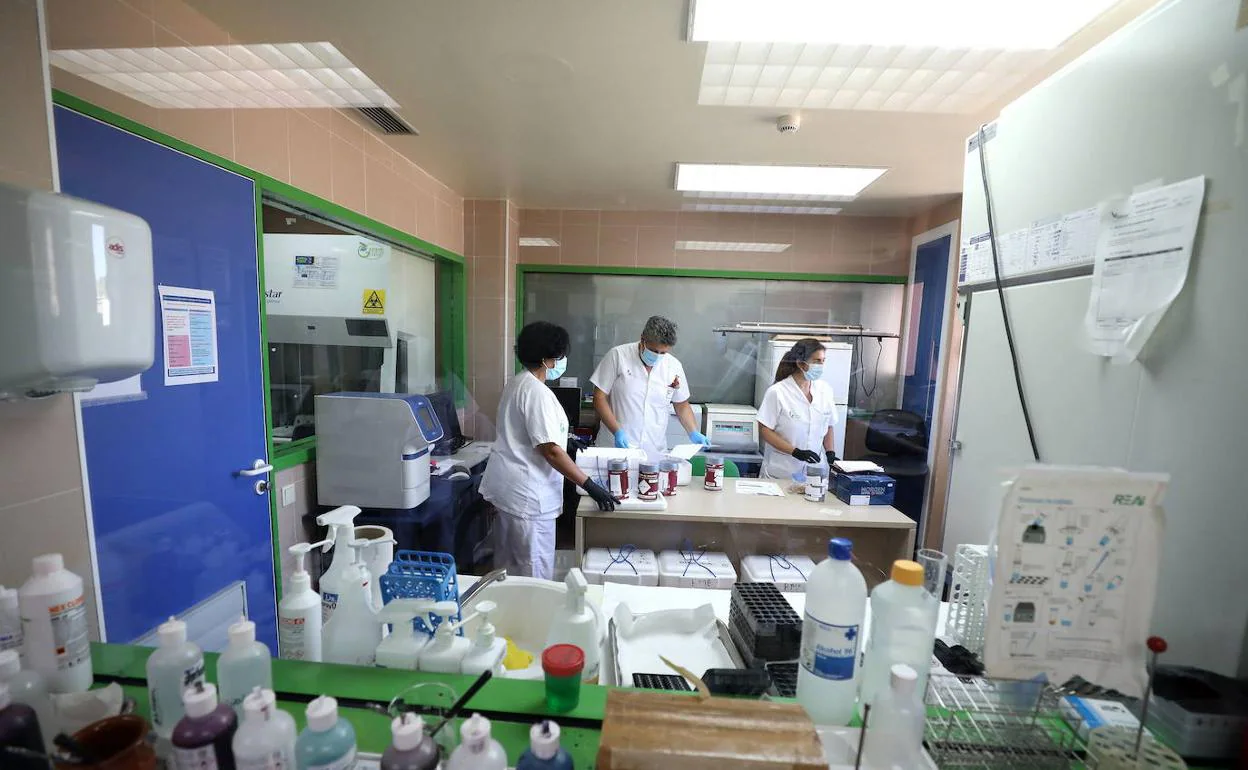 Laboratorio en el hospital de Mérida.