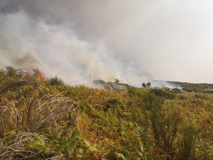 Las llamas, que comenzaron anoche, afectan a la Sierra de Tormantos y a los términos municipales de Garganta la Olla, Aldeanueva de la Vera y Cabezuela del Valle