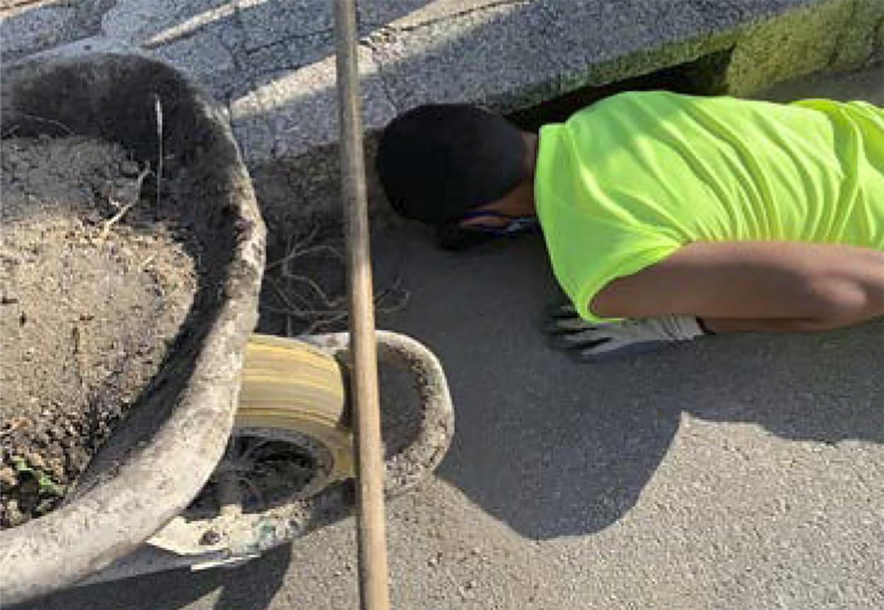 Uno de los jóvenes contratados limpiando una alcantarilla . 