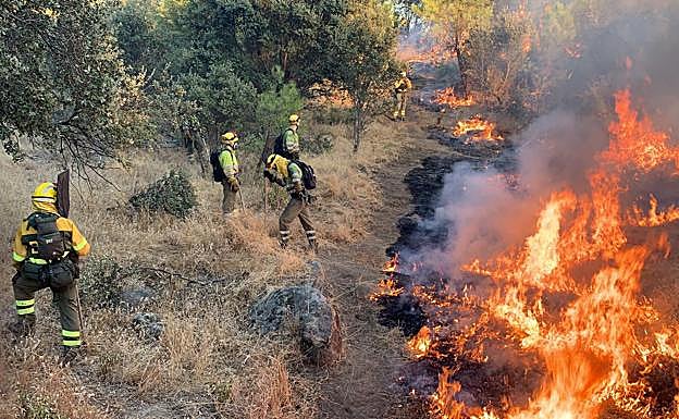Los bomberos forestales «trabajan aplicando fuego técnico para cerrar perimetro».