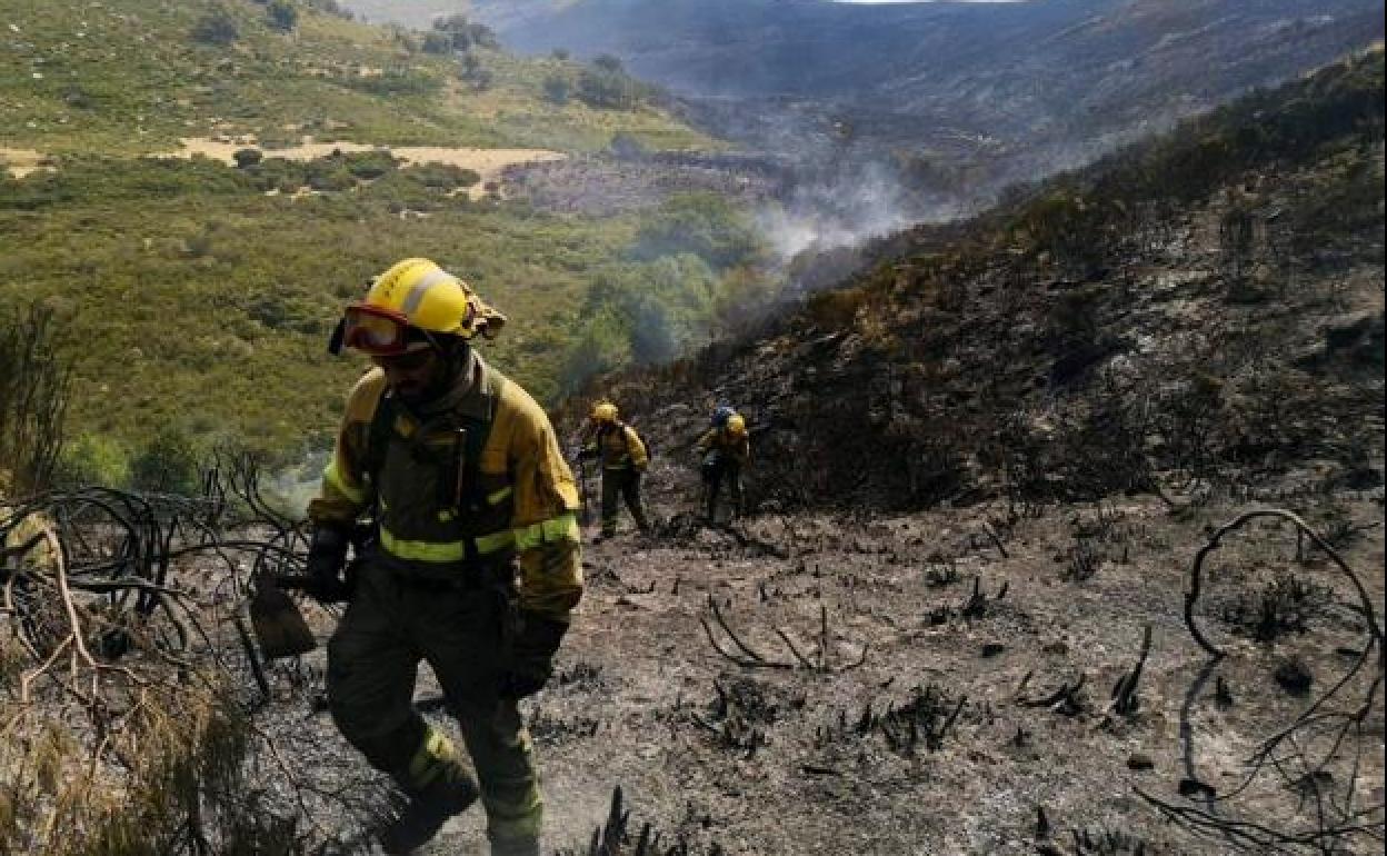 Los bomberos forestales, trabajando en Cabezuela.