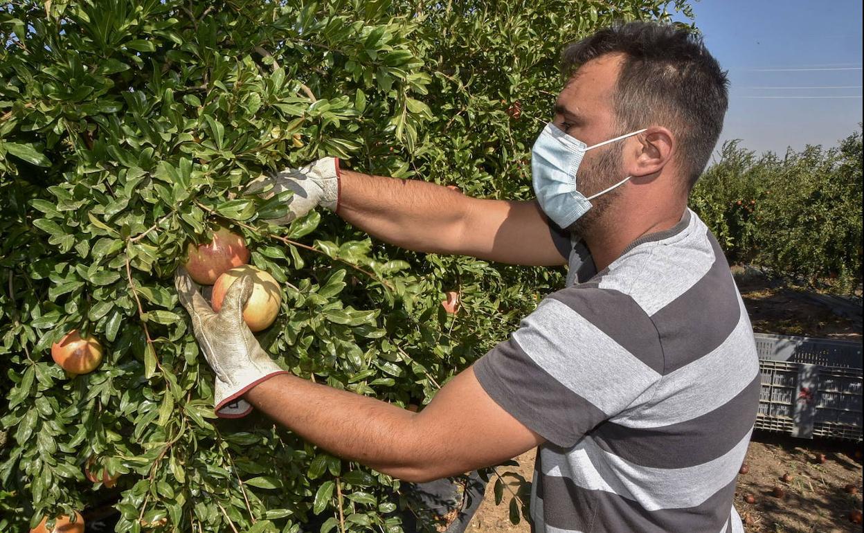 Plasencia acoge un curso para jóvenes que deseen incorporarse al sector agrícola