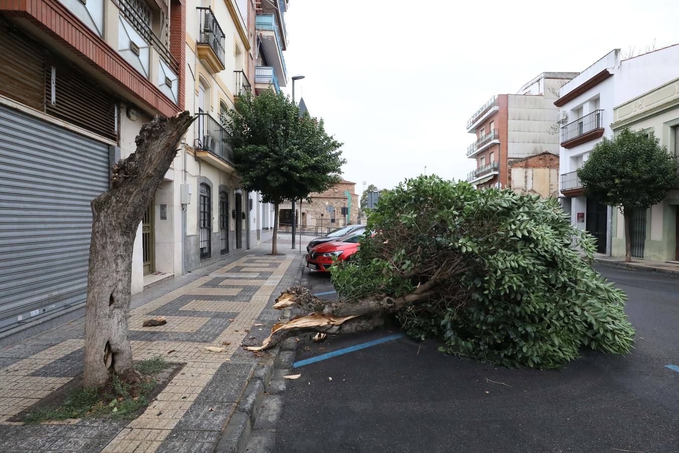 Los efectos del fuerte viendo de la borrasca